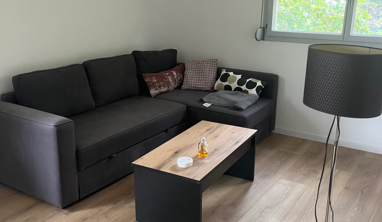 Lemoux Immobilier Agence Immobiliere Rennes IMG 5153