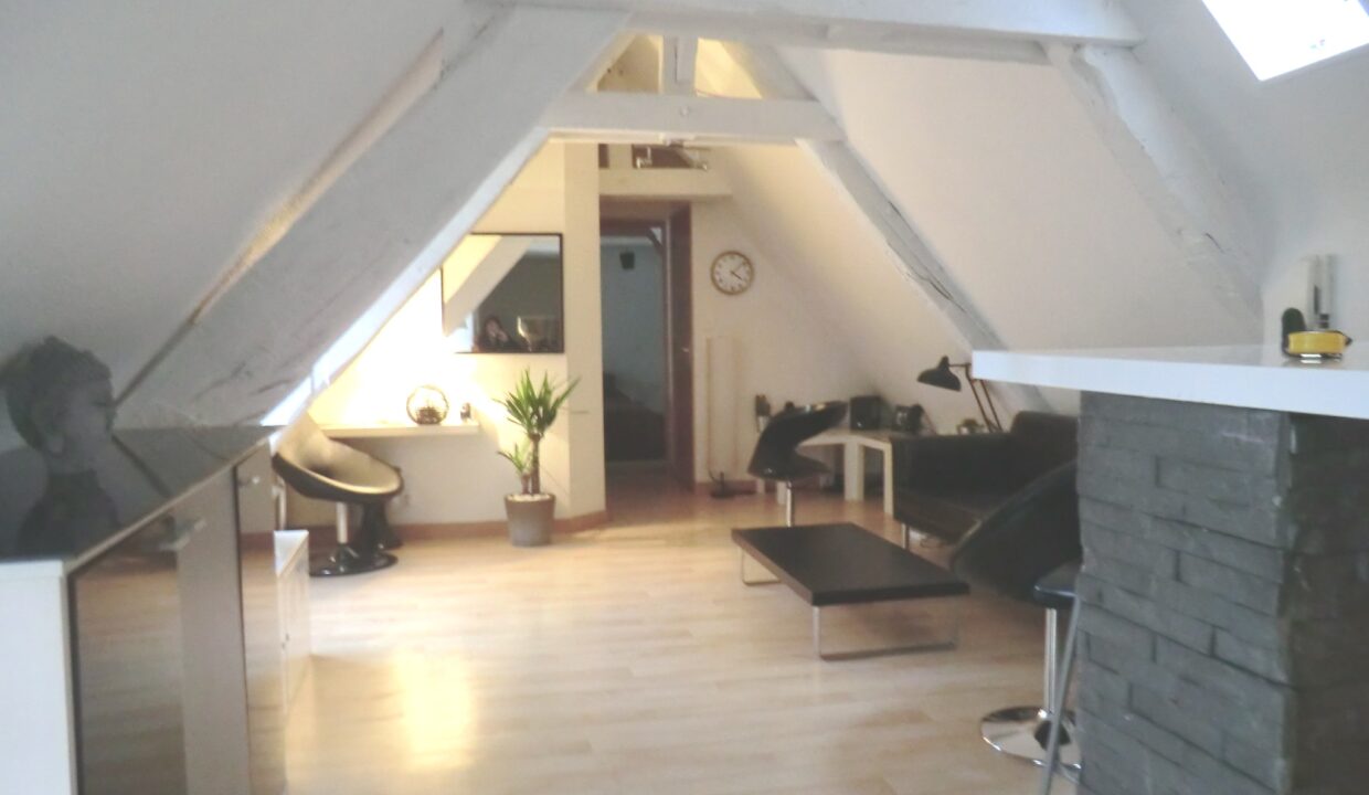 Lemoux Immobilier Agence Immobiliere Rennes Piece 1