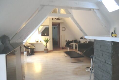 Lemoux Immobilier Agence Immobiliere Rennes Piece 1